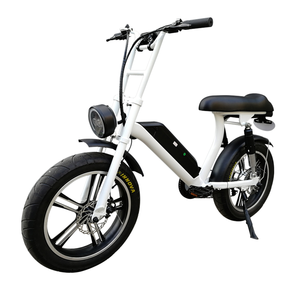 fat electric cycle